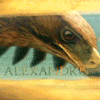 Alexander