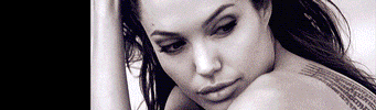Angelina Jolie banni&egrave;re Angie's Rainbow accueil