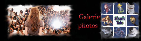 Angelina Jolie bannière Angie's Rainbow galerie