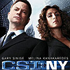 CSI New York