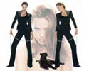 Angelina Jolie wallpaper panth&egrave;re par Kunop&egrave;s