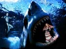 Angelina Jolie wallpaper Shark Raider par Kunop&egrave;s
