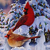 Ic&ocirc;ne No&euml;l