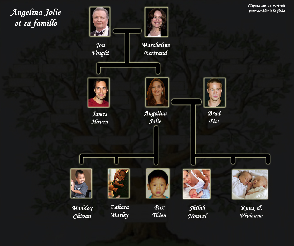 Arbre g&eacute;n&eacute;alogique Angelina Jolie