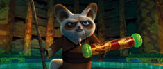 Kung-Fu Panda