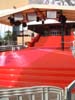 Cannes red carpet