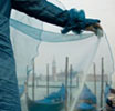Venise