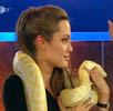 Wetten dass