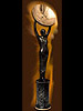 Satellite award