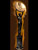 Satellite award