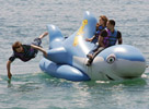 Gang de Requins Promo &agrave; Cannes