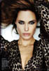 Vanity Fair