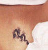 Angelina Jolie tatouage dragon bassin