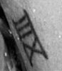 Angelina Jolie tatouage XIII