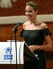 UNHCR - Remise de m&eacute;daille Nansen